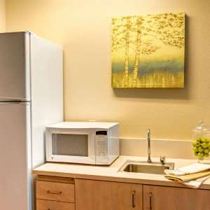 kitchen with cabinets and a microwave