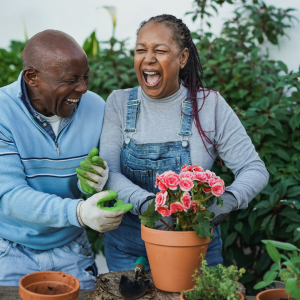 Two elderly people planting flowers and laughing