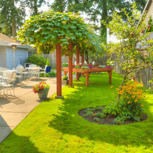 outdoor patio and greenery with trees and flowers