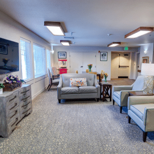 lounging room with couches and chairs with a television
