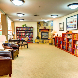 library with book shelves and lounging chairs