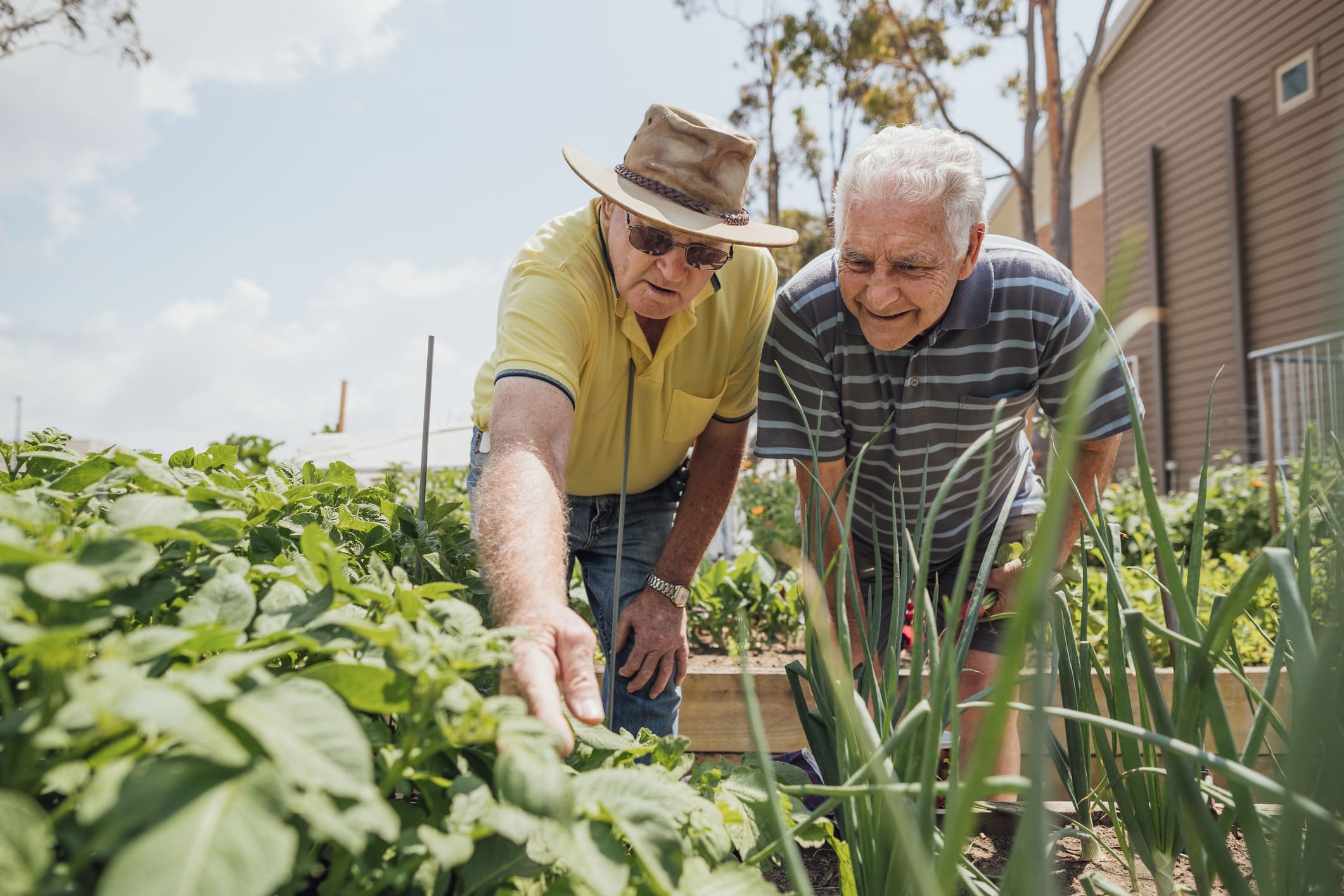 Gardening Committee