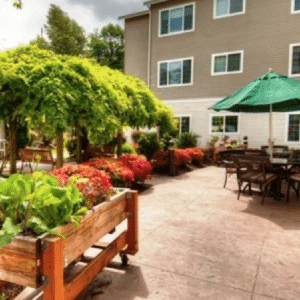 outside patio with plants, table and chairs