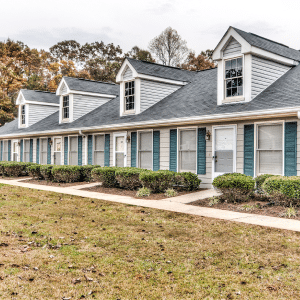 living homes lined up with plants in front