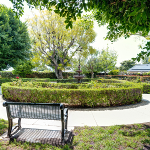 greenery and walking path with bench outside