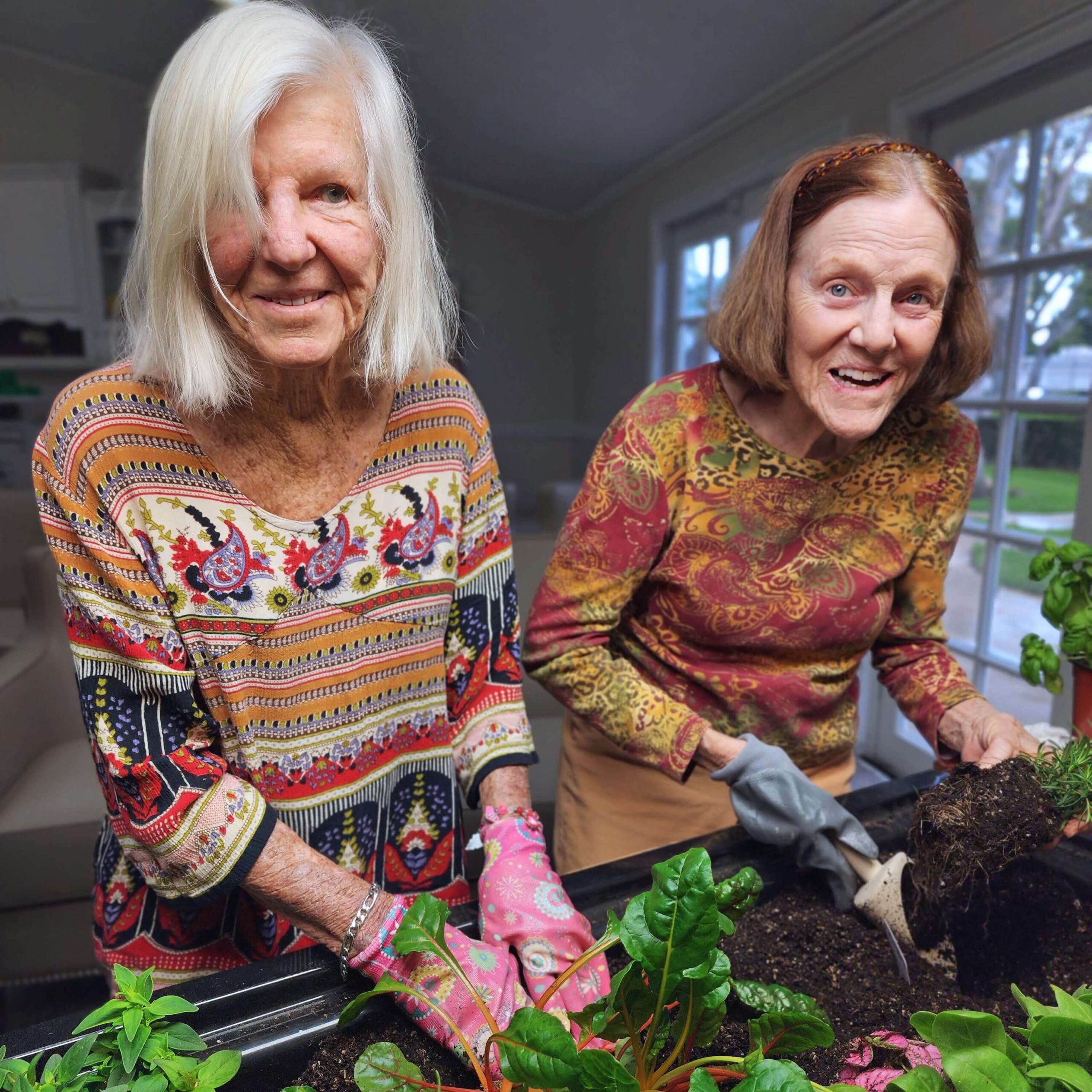 2 elderly women planting in a gardening bed