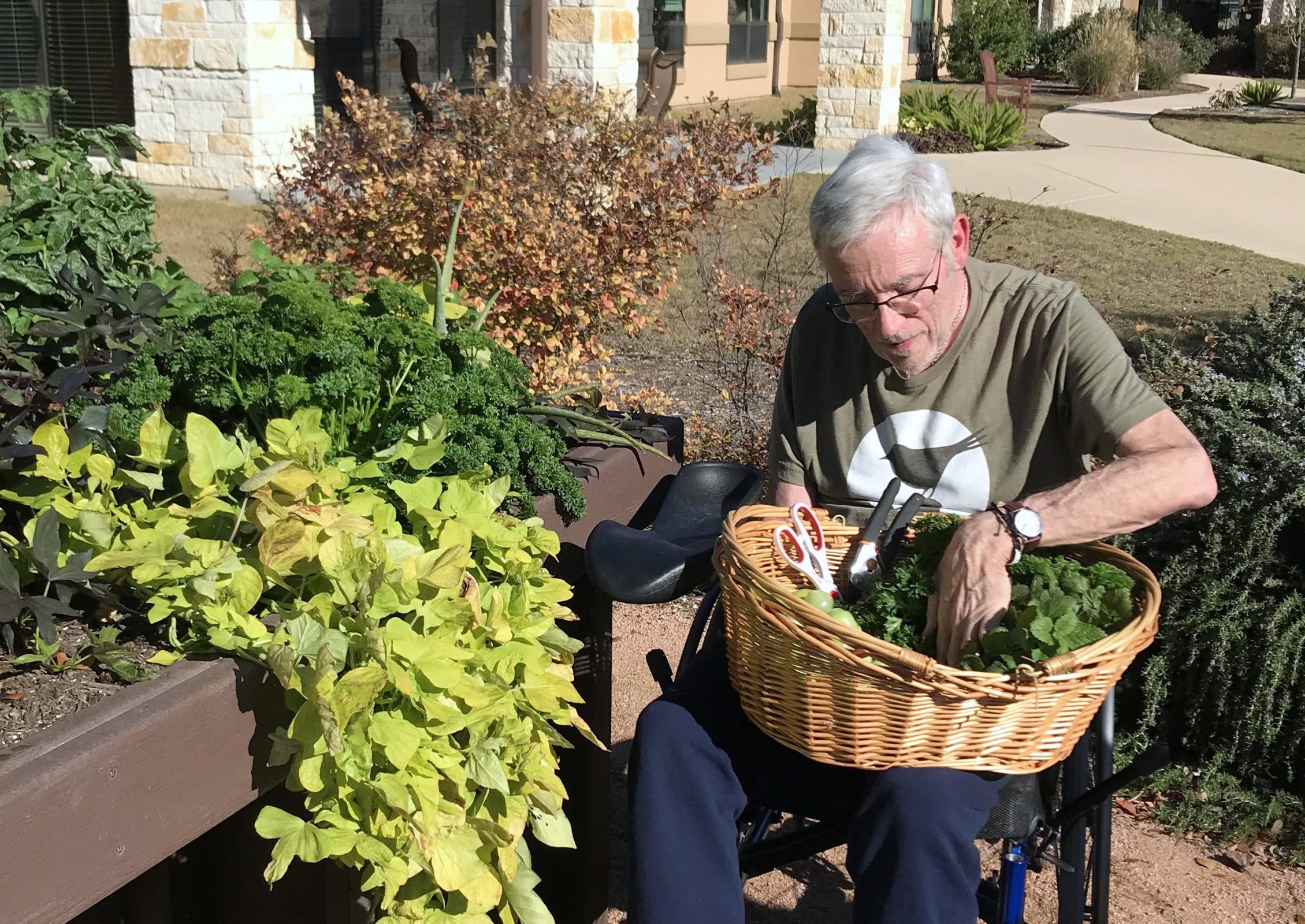 Ways to Help Seniors with Alzheimer’s Connect with Nature