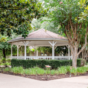 gazebo surrounded by trees and greenery