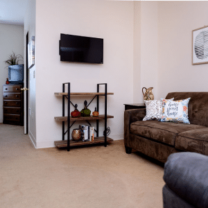 living room with couch and television