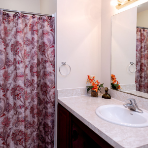 bathroom with sink and shower curtain