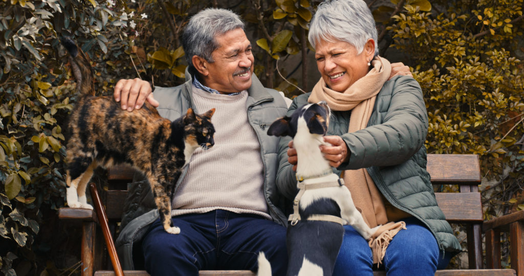 An elderly couple sits on a bench, smiling. A calico cat is on the man's lap, and a black and white dog is on the woman's lap. They are dressed in casual outdoor clothing.