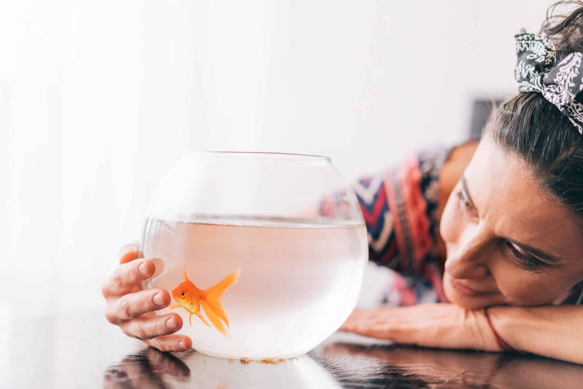 What are the Best Pets for Seniors? | Frontier Senior Living