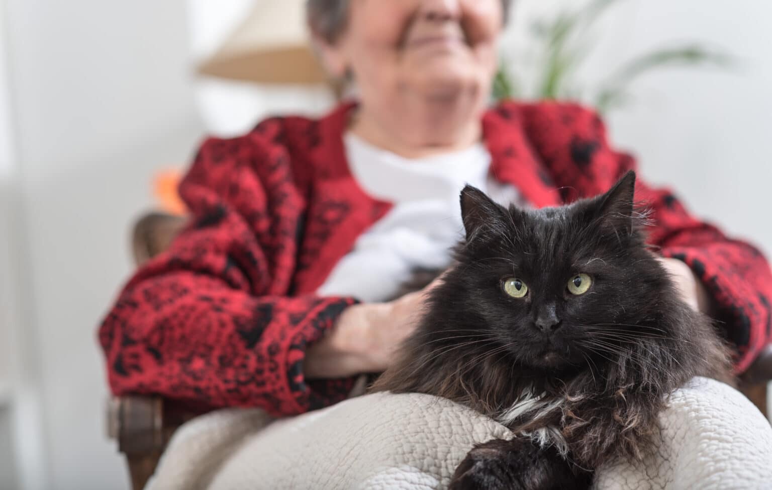 What are the Best Pets for Seniors? Frontier Senior Living