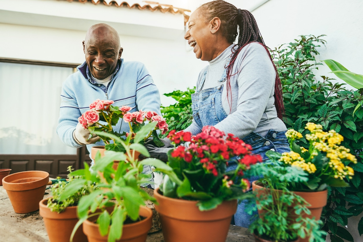 Fun Things To Do In The Summer With Older Parents Frontier Senior Living