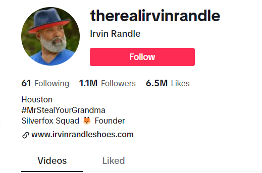 Tik Tok profile picture of therealalirvinrandle