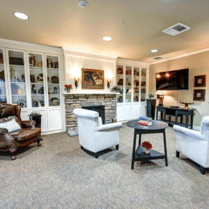 Living room with shelves