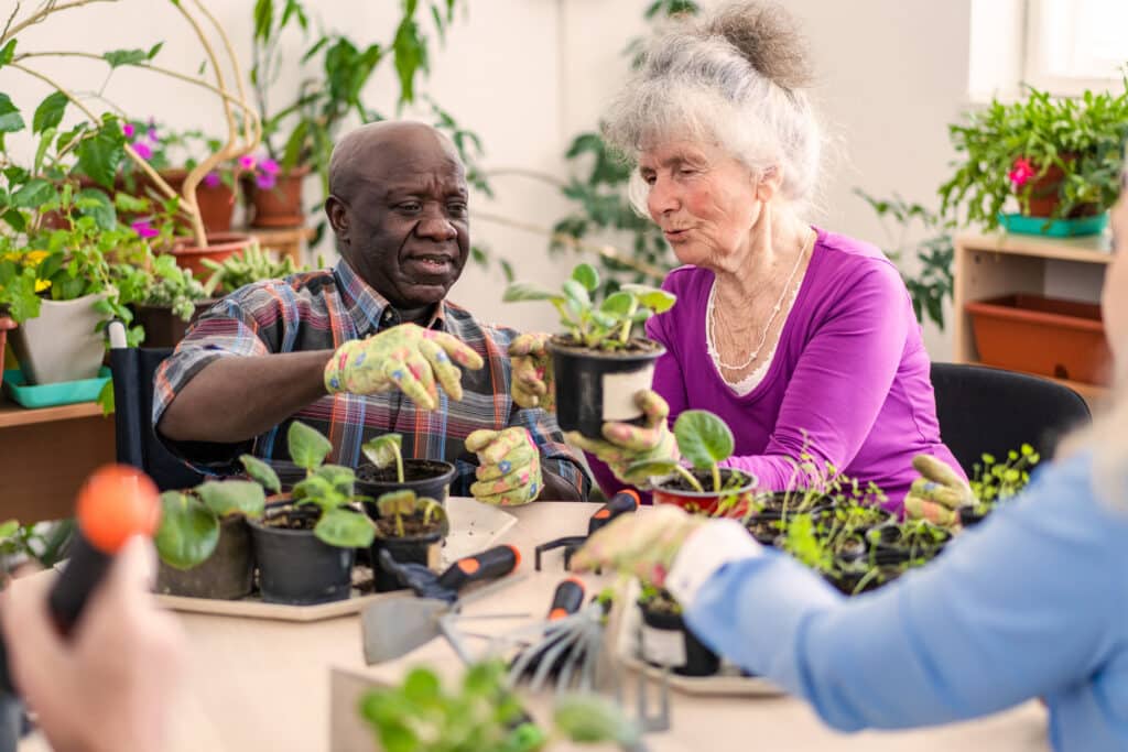 Elderly people planting flowers
